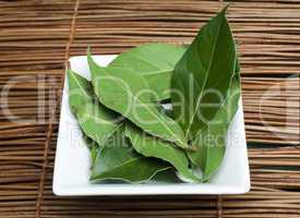 bay leaf spice