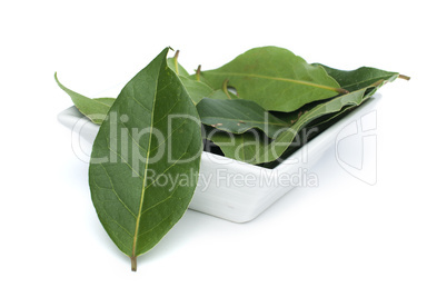 bay leaf spice