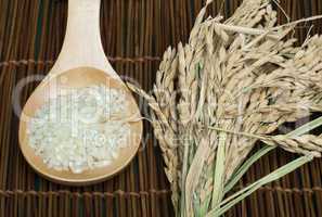rice baldo in wooden spoon