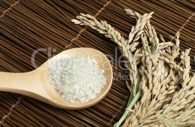 rice baldo in wooden spoon