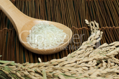 rice baldo in wooden spoon