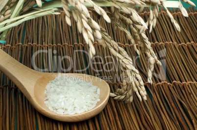 rice baldo in wooden spoon