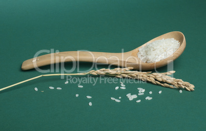 rice baldo in wooden spoon