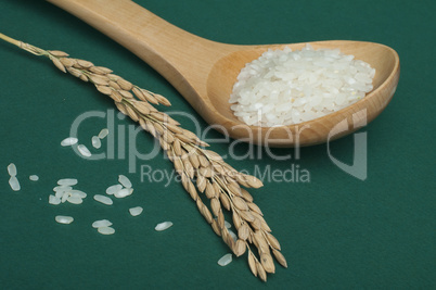 rice baldo in wooden spoon