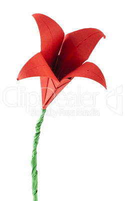 origami red flower white isolated.