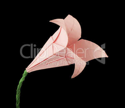 pink flower origami black isolated