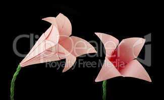 pink flower origami black isolated