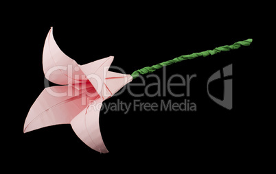 pink flower origami black isolated