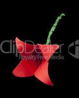 red flower origami black isolated.