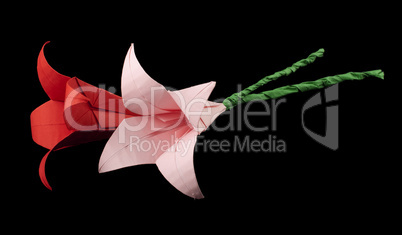 pink and red flowers origami black isolated