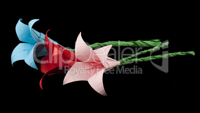 pink and red flowers origami black isolated