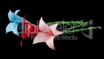 pink and red flowers origami black isolated
