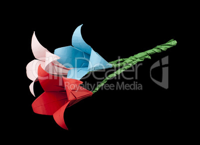 pink and red flowers origami black isolated