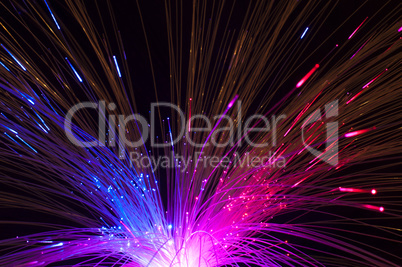 optical fibers