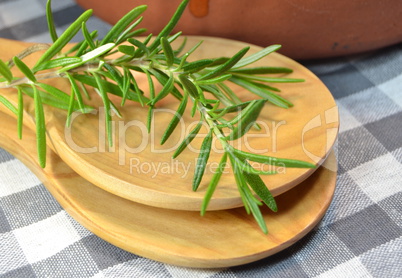 Bouquet of thyme  on wooden spoon