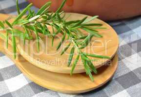 Bouquet of thyme  on wooden spoon
