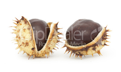 chestnuts with shell
