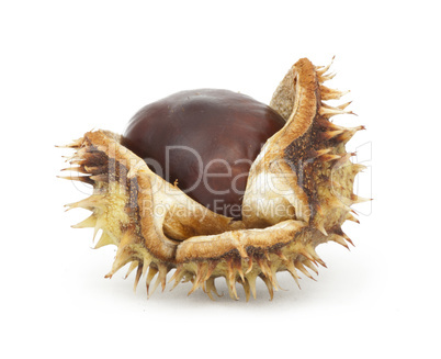 chestnuts with shell