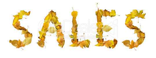 text sales made of autumn leaves.