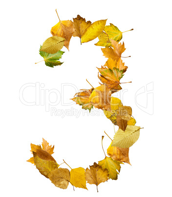 number three made of autumn leaves.
