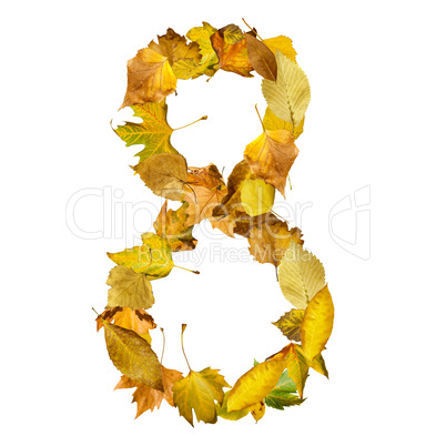 number eight made of autumn leaves.