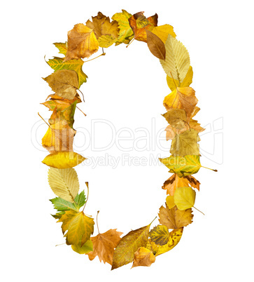 number zero made of autumn leaves.