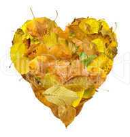 heart made of autumn leaves