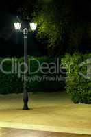 night picture of the lamp in the park