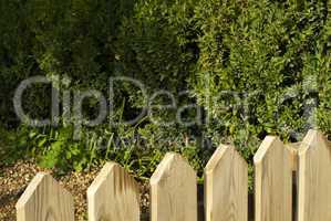 wooden decorative fence and green garden
