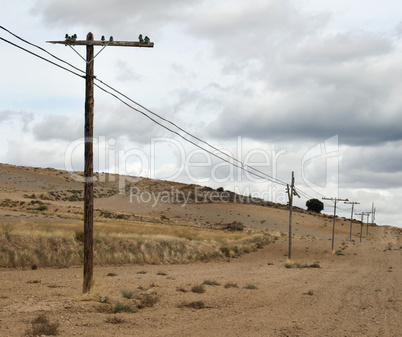old electric poles