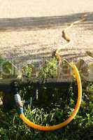 garden watering hose