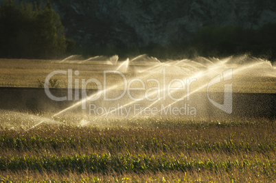 irrigation systems on sunset