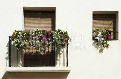 classic balcony with flowers