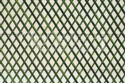 green wooden lattice wall