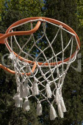 basketball basket