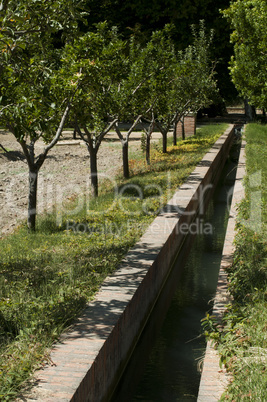 irrigation canal