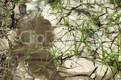 cracked soil and water
