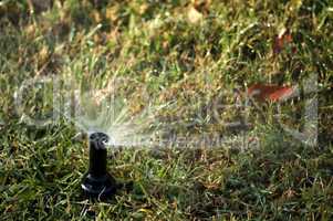 watering the garden