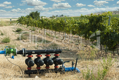 water pumps for irrigation of vineyards