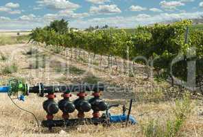 water pumps for irrigation of vineyards