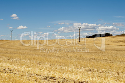 agricultural land