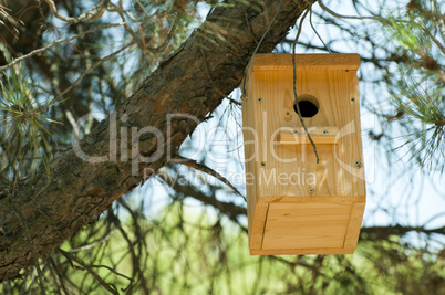 wooden house for the birds