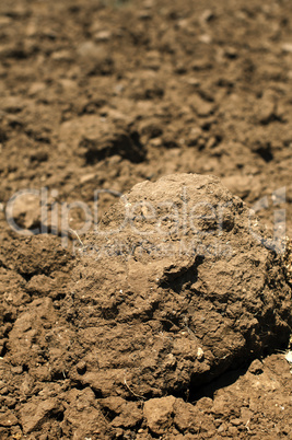 agricultural land soil close up
