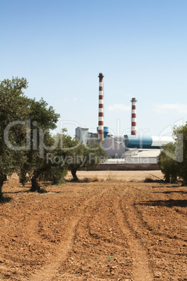 olive trees and factory