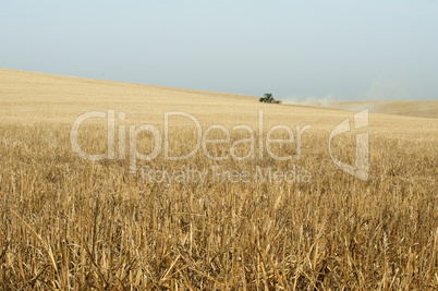 tractor plowing field