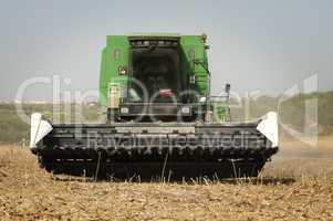 harvester reaps sunflowers