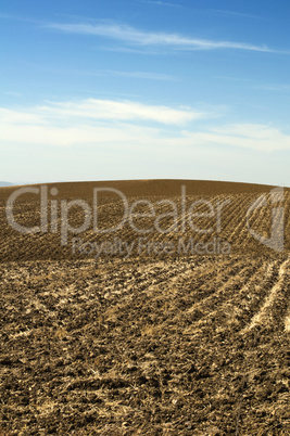 agricultural land soil and blue sky