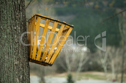 trash hung on a tree