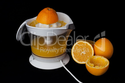 citrus juicer and oranges