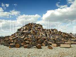 stack of freshly cut trees